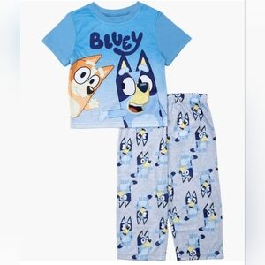 Ame Bluey Flifted Two-piece Pajamas 2T Toddler